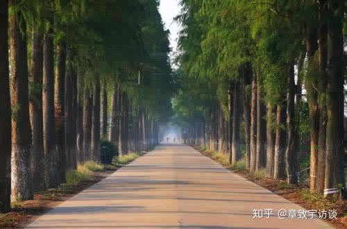 网上被黑说账号风控不给提现还能拿回钱吗知乎.文章概览（图）