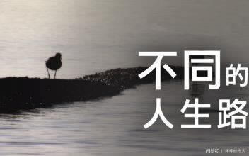 流水不够不给提现.文章慨括(图)