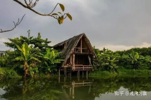 网上平台通道维护流水不足不给提款.小编心得(图)