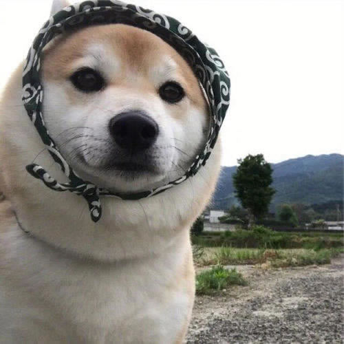 网上网站充值相同金额出款提不了款怎么办?肯定要注意了.小编心得(图)