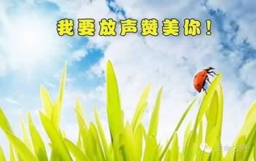 财务清算是不是被黑了才能清算呢.自序（图）