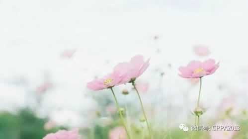 网上平台赢钱被黑几十万不给出款怎么办.编者心得(图)