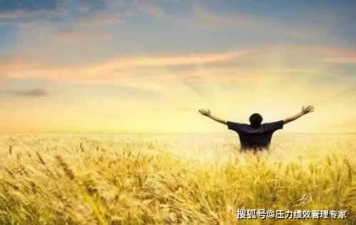 网站注单抽查解决办法,要如何应对.内容开头语(图)