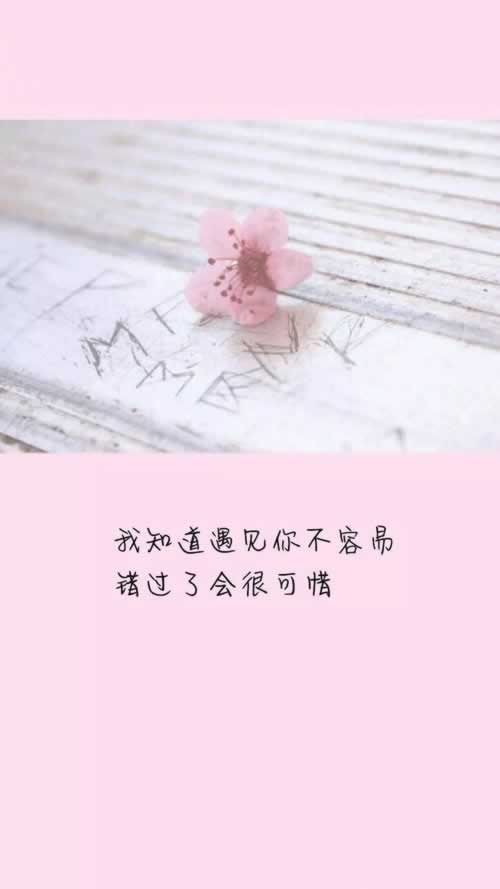 为什么导出的表格是空白的.内容开头语(图)