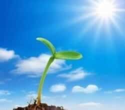 在黑网赢钱维护不让提怎么办?怎么样才能提出.内容概要(图)