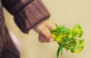 网上被黑风控审核一直不给提款怎么解决呢.编者心得（图）