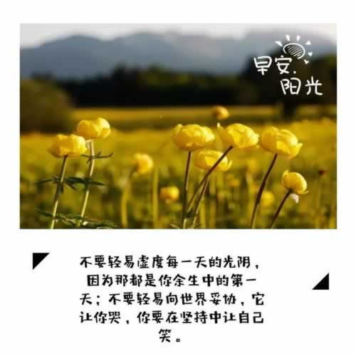 提现显示注单异常怎么办.侧重点(图)