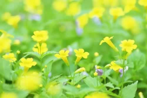 一直让罚流水提不了钱怎么办快速掌握技巧.文章引题(图)