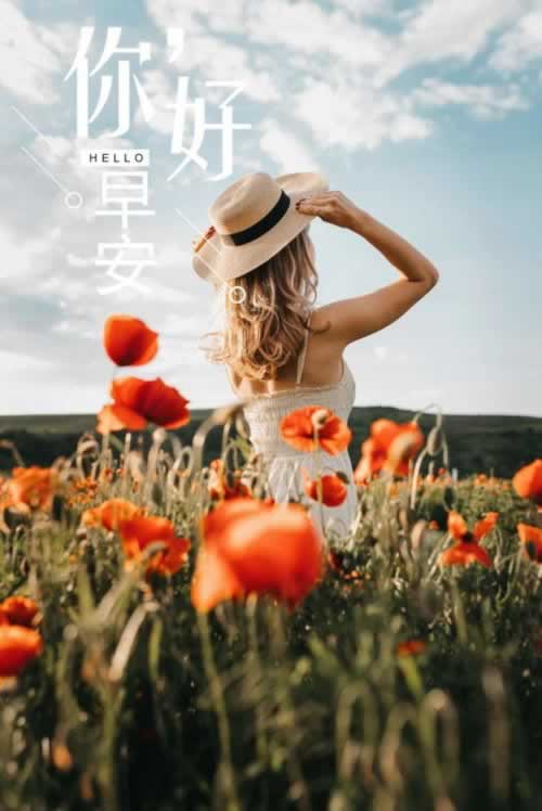 平台不给提现怎么办处理.侧重点(图)
