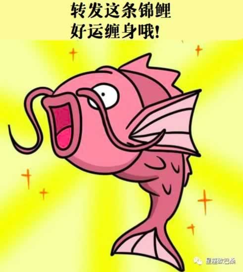注单异常不给出款怎么办这样解决最有效.文章慨括（图）
