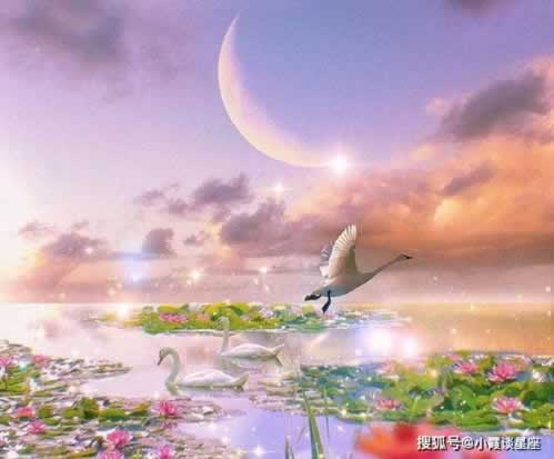 网上平台出款通道升级维护.文章慨括(图)