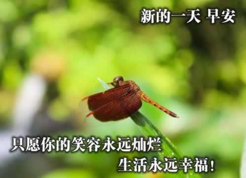 网上平台不能取款怎么办.引题(图)