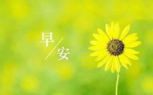 数据未同步提不了钱怎么办掌握更多.文章导言（图）