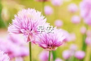 网站维权：赢钱系统出现问题怎么办，高手帮你.读者的话（图）