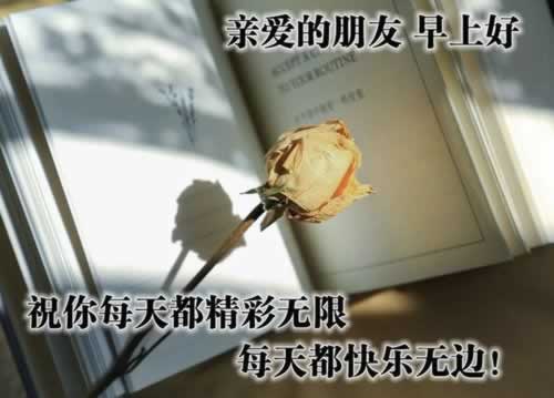 账号审核提不了钱怎么办千万别被坑了.内容狮评(图)
