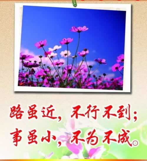 最新总结《风控审核拒绝去哪里解决》不给提的处理办法