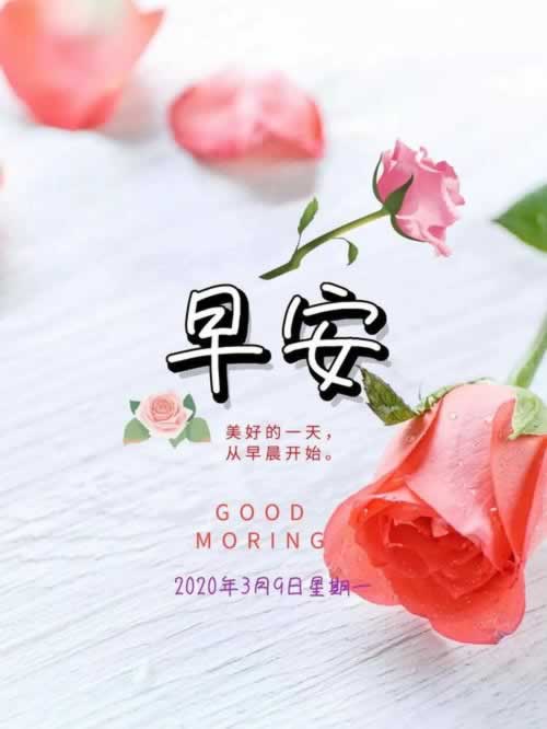 被黑提款维护审核提不了款怎么办.文章导言(图)