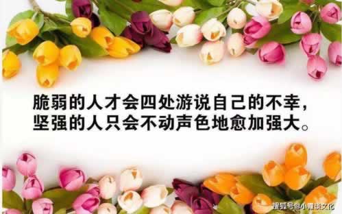 玩黑网被黑如何快速出款.内容慨述(图)