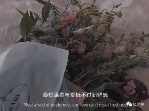 网上网站不给出款怎么才能解决,网站需要注意这些.文章导言(图)