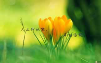网上被黑注单延迟审核提不了款怎么办.概述（图）