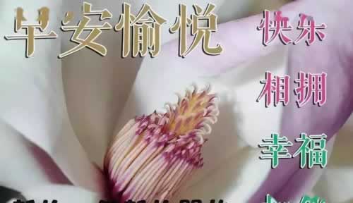 必备科技被黑了取不出钱怎么办免费教大家～这里有妙招