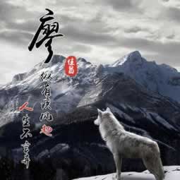 网上被黑怎么处理.小编心得（图）