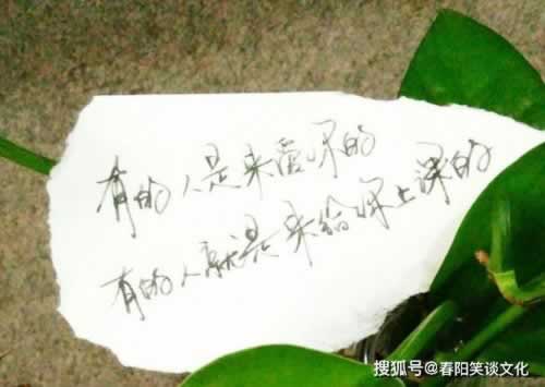 系统审核不给出款怎么办简洁说明.概述(图)