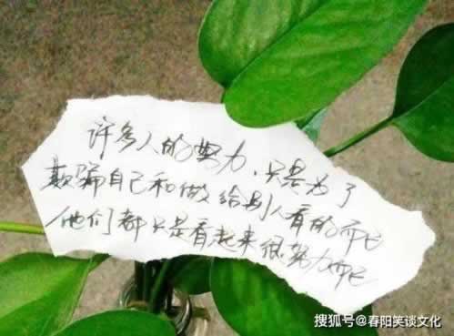 王头出现被黑有成功出款了的吗.内容概要(图)