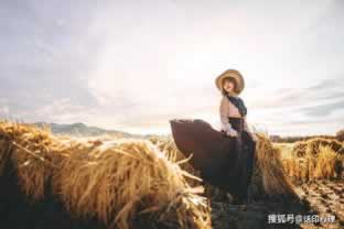 出款通道维护不给提现了.内容概要(图)