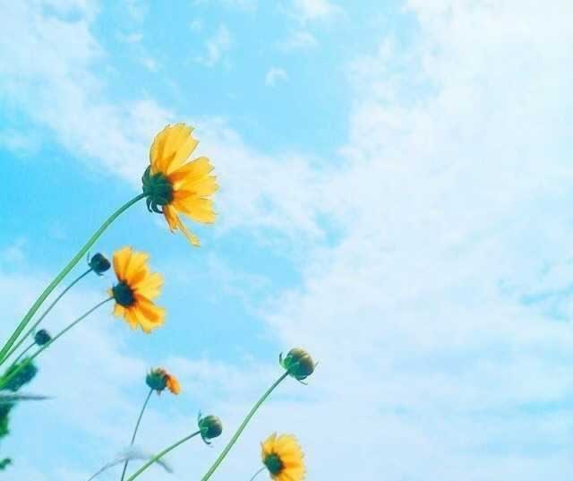 在网站充值相同金额出款提不了款怎么办?这种情况已经有出现过来.编者心得(图)