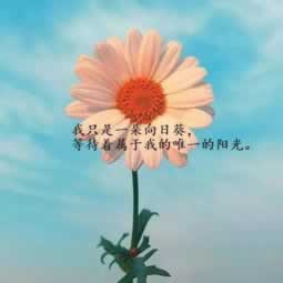 网上被黑取款失败有那些办法可以拿回.文章导言(图)