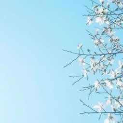 系统维护提现不了.概述(图)