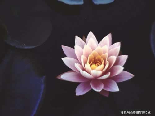 秒懂经验网络赌平台一直不让提现怎么办·这种解决很快