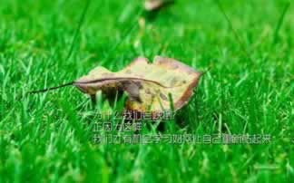 风控审核拒绝是什么情况啊.编者心得(图)