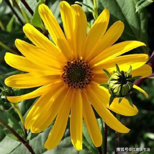 为什么提现不成功.侧重点（图）