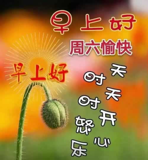被黑提款被拒绝怎么办.引文（图）