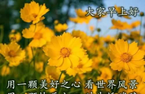 注单延迟出款失败怎么办.概述（图）