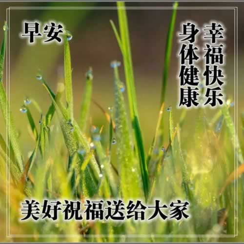 网上注单异常审核不给提款有什么解决方法.内容狮评(图)