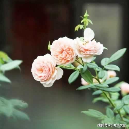 网上赢钱被黑了该怎么办.概述（图）