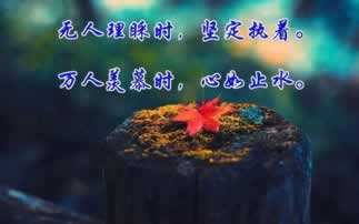 有没有被黑出款成功的案例.概述（图）