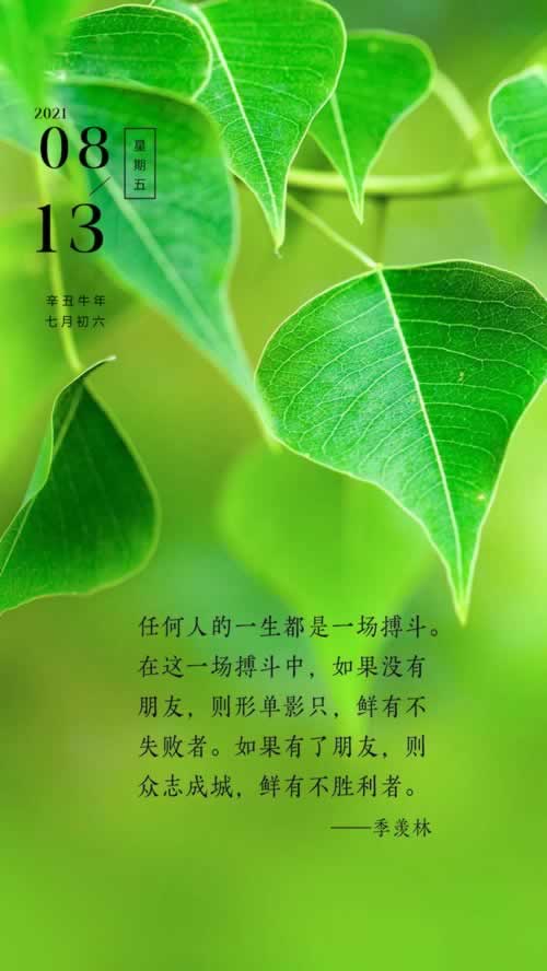 平台维护不给出款是恶意欠款吗.文章导言(图)