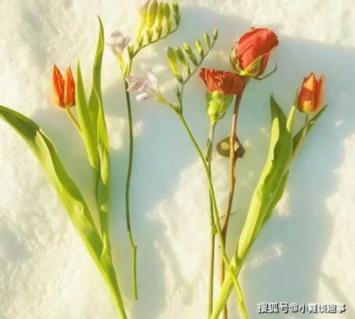 首信联合亏损怎么好,过来人告诉你.引题(图)