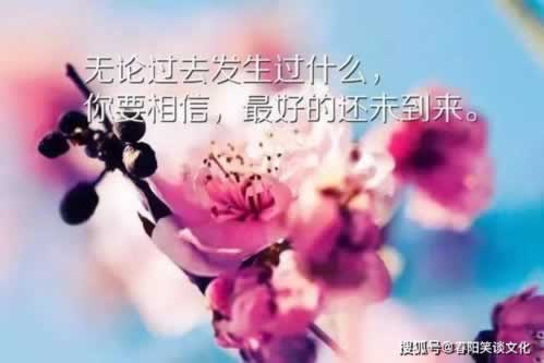 账号审核不给提现怎么办简单又全面呢.文章引题(图)