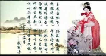 数据网络特别慢是什么原因.文章导言（图）