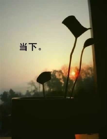 网上出款被黑不给提款不给出款.概括(图)