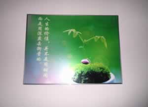 系统维护不能提现吗.内容概略(图)