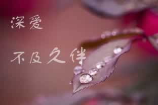 网上赢钱被黑了该怎么办知乎.文章开头语(图)