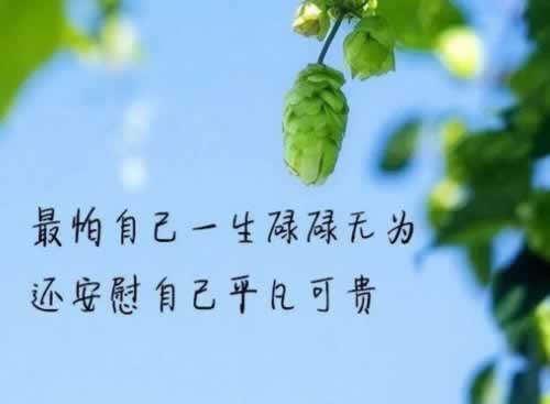 平台里的钱提不出来怎么办呢.读者的话(图)