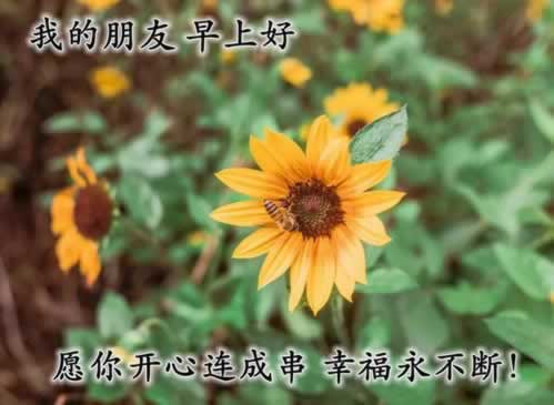 网上游戏被黑风控部门审核不给提款.自序(图)