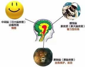 网站被黑了怎么处理好呢.内容概要(图)